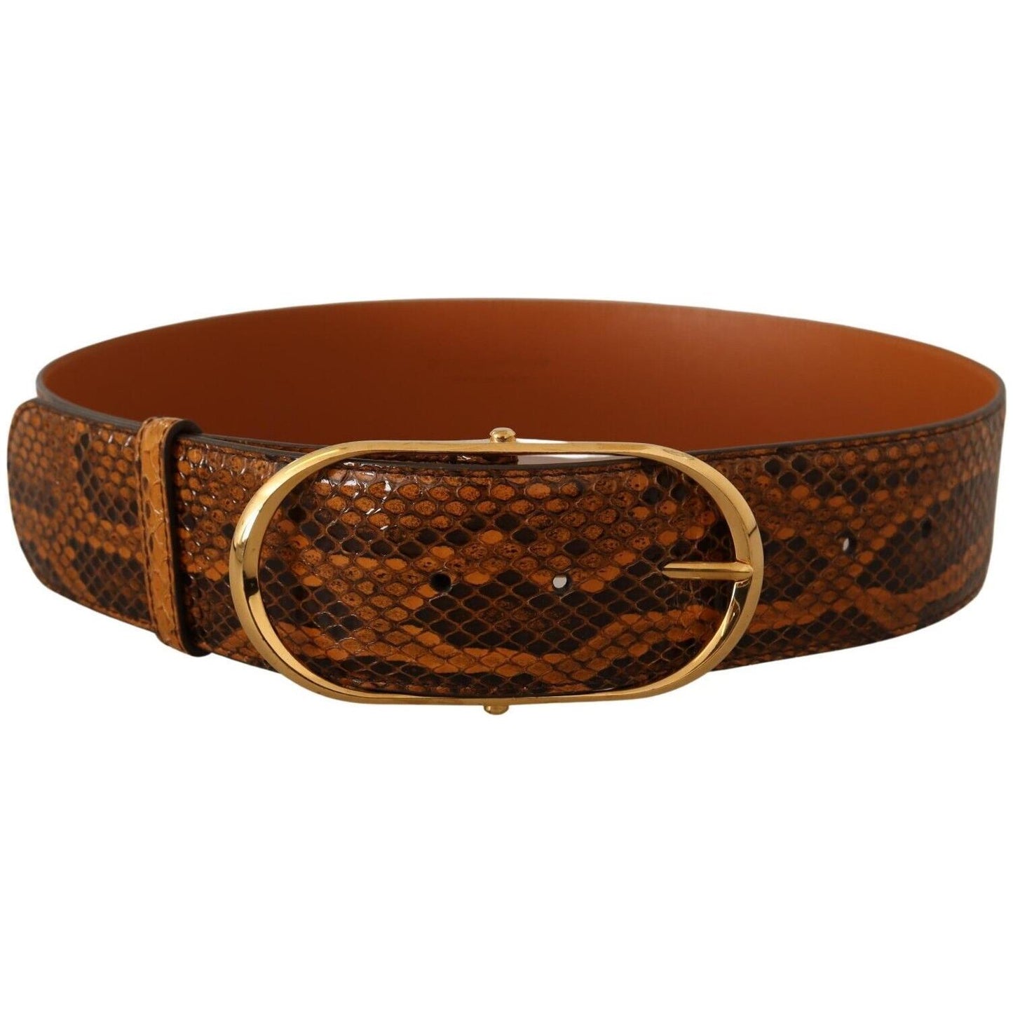 Dolce & Gabbana Elegant Python Skin Leather Belt WOMAN BELTS Dolce & Gabbana