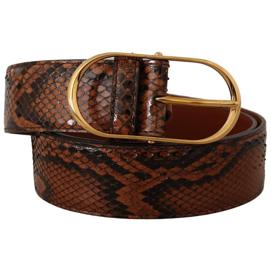 Dolce & Gabbana Elegant Leather Belt with Gold Buckle Dolce & Gabbana