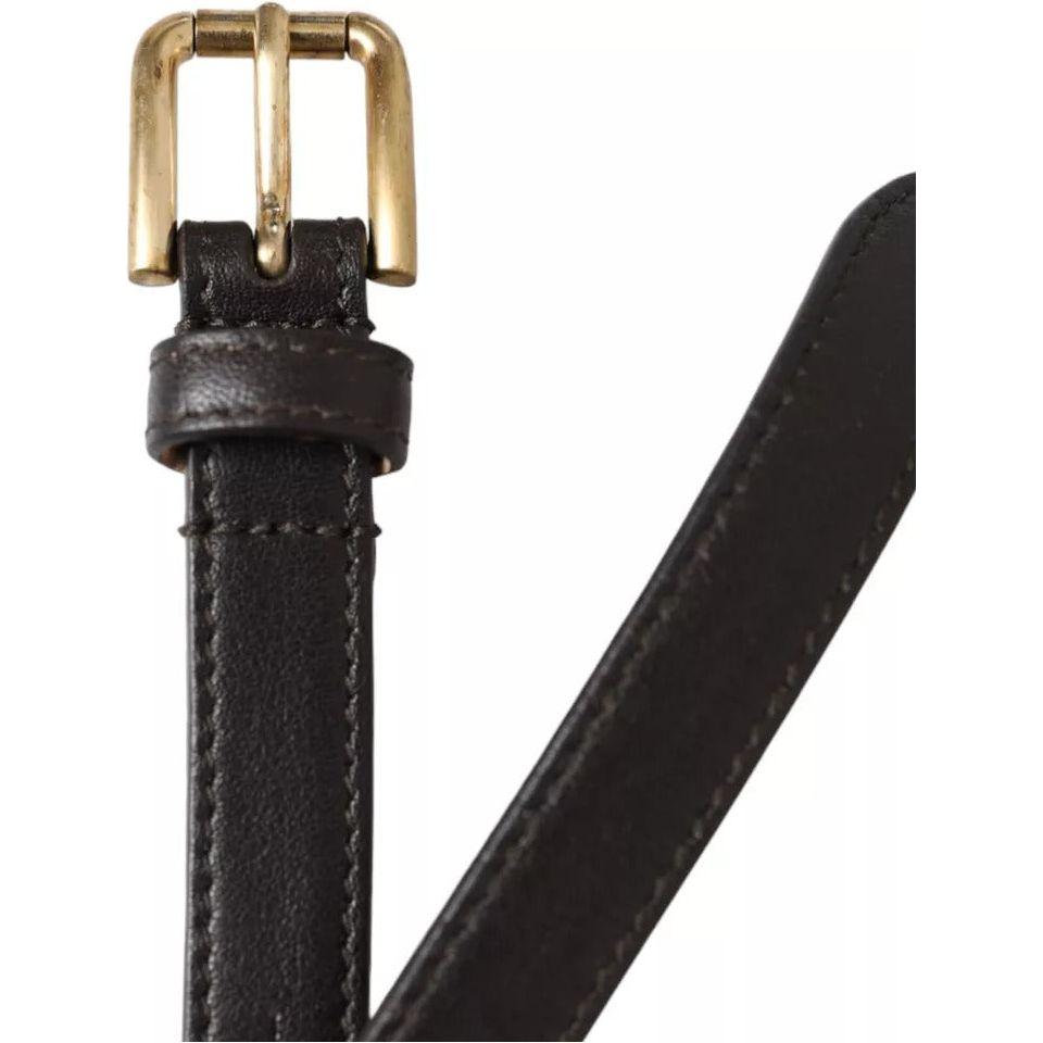 Dolce & Gabbana Dark Brown Leather Gold Metal Buckle Women Belt Dolce & Gabbana