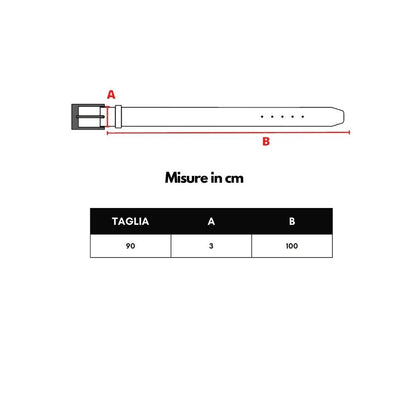 Dolce & Gabbana Brown Leather Regular Belt