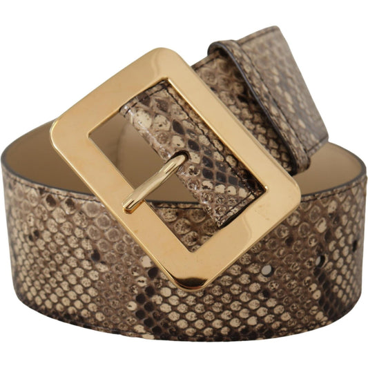 Dolce & Gabbana | Brown Exotic Wide Waist Leather Gold Metal Buckle Belt| McRichard Designer Brands   